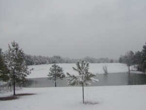 Snow at Upper Pond